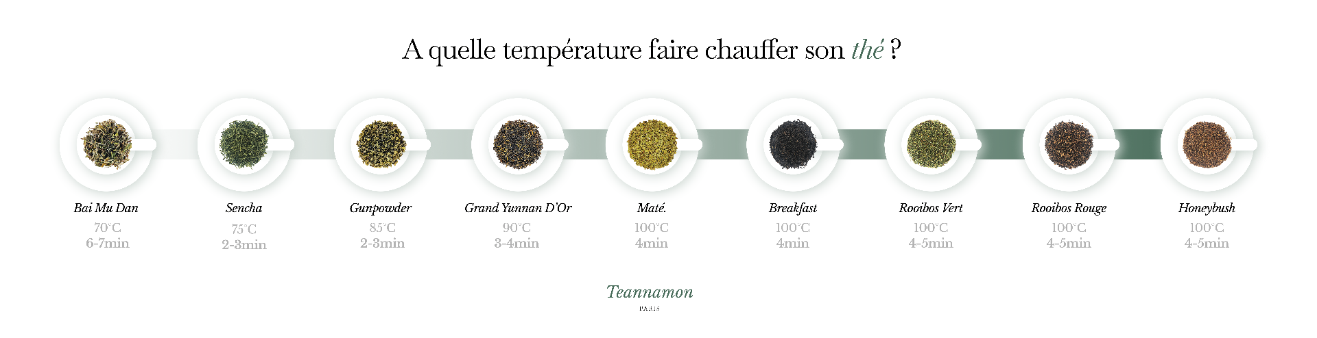 Infographie des températures d'infusion du thé